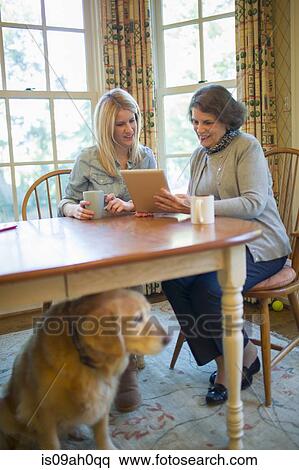 Senior woman and granddaughter using digital tablet View Large Photo Image Stock Photography - Senior woman and granddaughter using digital tablet. Fotosearch