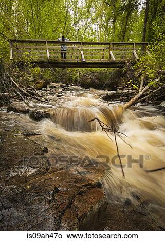 Picture - Young man on river footbridge, Naramata, British Columbia, Canada. Fotosearch