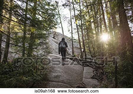Young woman walking through forest, Squamish, British Columbia, Canada View Large Photo Image Stock Photo - Young woman walking through forest, Squamish, British Columbia, Canada. Fotosearch