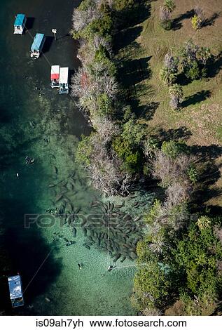 Stock Image - Aerial view, Crystal River.. Fotosearch