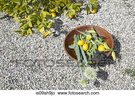 Picture - Bowl of freshly picked lemons and vegetables on gravel path. Fotosearch