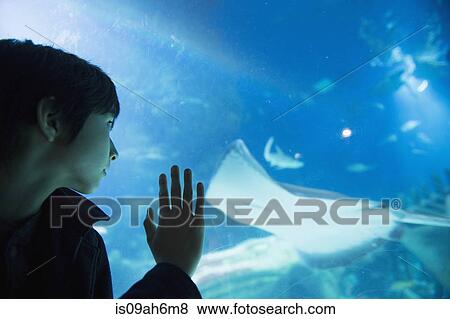Stock Photo - Boy admiring sea life in aquarium. Fotosearch