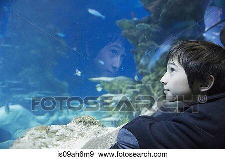 Stock Photo - Boy admiring sea life in aquarium. Fotosearch