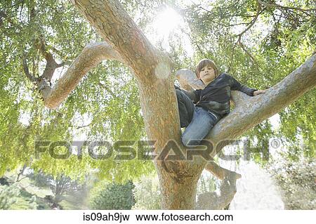 Boy hiding in tree and looking down View Large Photo Image Stock Photo - Boy hiding in tree and looking down. Fotosearch