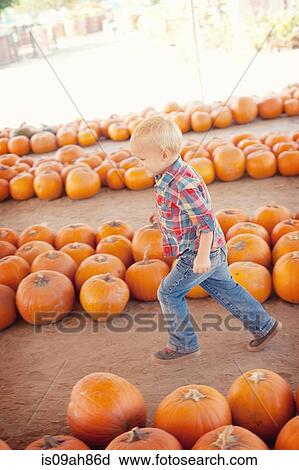 Boy running through pumpkins View Large Photo Image Stock Image - Boy running through pumpkins. Fotosearch