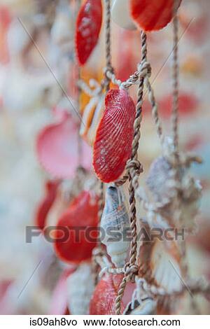 Close up of fishing net decorated with seashells View Large Photo Image Picture - Close up of fishing net decorated with seashells. Fotosearch