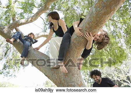 Family with two boys climbing on park tree View Large Photo Image Stock Photo - Family with two boys climbing on park tree. Fotosearch