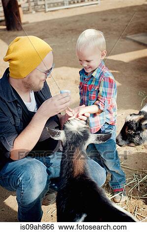 Father and son feeding goat View Large Photo Image Stock Photograph - Father and son feeding goat. Fotosearch