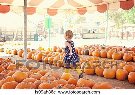 Girl running through pumpkins View Large Photo Image Stock Image - Girl running through pumpkins. Fotosearch