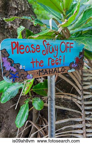 Hand painted warning notice, Kaua'i, Hawaii, USA View Large Photo Image Picture - Hand painted warning notice, Kaua'i, Hawaii, USA. Fotosearch