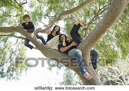 Portrait of family with two boys climbing on park tree View Large Photo Image Stock Photo - Portrait of family with two boys climbing on park tree. Fotosearch