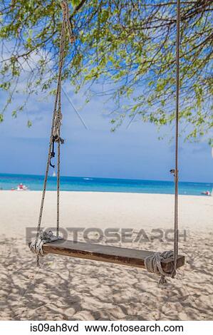 Tree swing on Palm Beach, Aruba, Lesser Antilles, Caribbean View Large Photo Image Stock Image - Tree swing on Palm Beach, Aruba, Lesser Antilles, Caribbean. Fotosearch