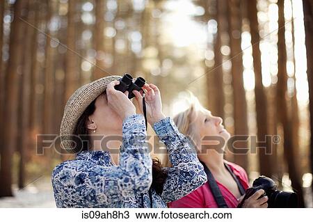 Two mature women bird watching in forest View Large Photo Image Stock Image - Two mature women bird watching in forest. Fotosearch