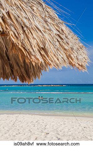 Two people swimming off Palm Beach, Aruba, Lesser Antilles, Caribbean View Large Photo Image Stock Image - Two people swimming off Palm Beach, Aruba, Lesser Antilles, Caribbean. Fotosearch