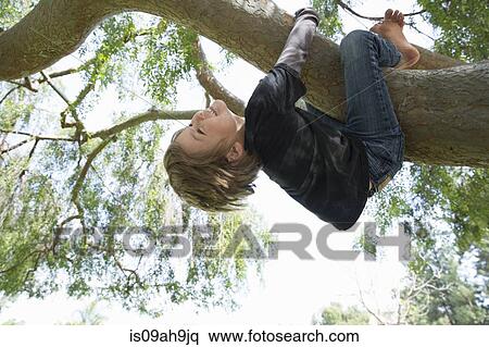 Upside down boy wrapped around tree branch View Large Photo Image Stock Photography - Upside down boy wrapped around tree branch. Fotosearch
