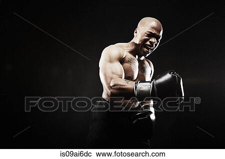 Boxer celebrating View Large Photo Image Stock Image - Boxer celebrating. Fotosearch