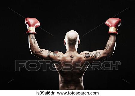 Boxer with arms raised, rear view View Large Photo Image Stock Photography - Boxer with arms raised, rear view. Fotosearch