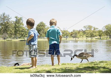 Brothers enjoying lakeside, Newport Beach, California, USA View Large Photo Image Stock Image - Brothers enjoying lakeside, Newport Beach, California, USA. Fotosearch