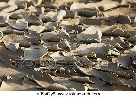 Close up view of cracked earth peeling View Large Photo Image Stock Photo - Close up view of cracked earth peeling. Fotosearch