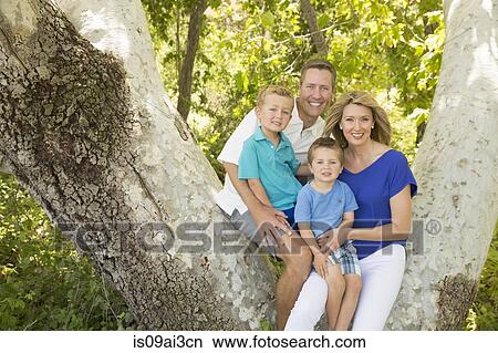Family of four on branch of tree View Large Photo Image Picture - Family of four on branch of tree. Fotosearch