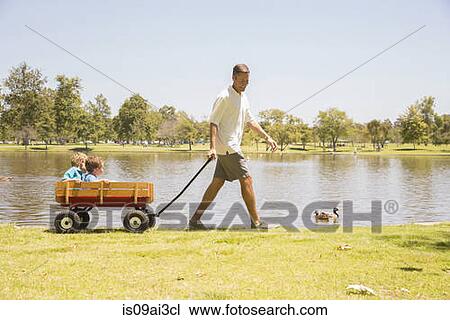 Father pulling wagon with sons inside at lakeside, Newport Beach, California, USA View Large Photo Image Stock Image - Father pulling wagon with sons inside at lakeside, Newport Beach, California, USA. Fotosearch