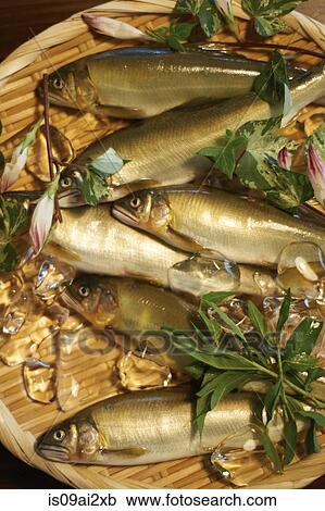 Stock Image - Fresh fish in woven tray. Fotosearch
