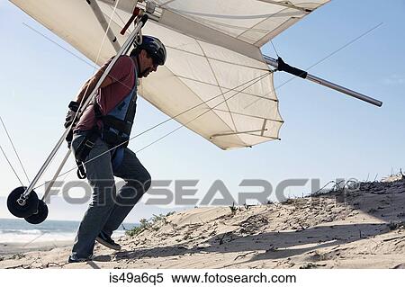 Man carrying hang glider on beach View Large Photo Image Stock Photography - Man carrying hang glider on beach. Fotosearch