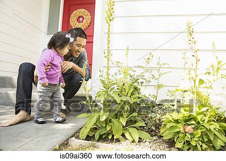 Stock Image - Mid adult man and toddler daughter looking at plants. Fotosearch