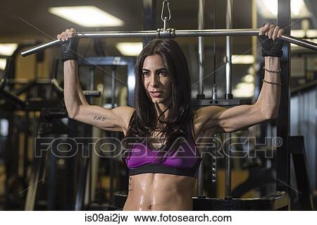 Mid adult woman using bar in gym for pectoral exercise View Large Photo Image Stock Photo - Mid adult woman using bar in gym for pectoral exercise. Fotosearch