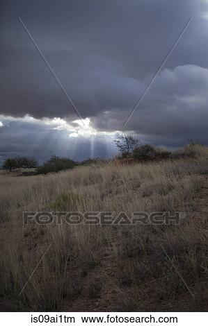 Scrubland and stormy sky, Texas, USA View Large Photo Image Picture - Scrubland and stormy sky, Texas, USA. Fotosearch