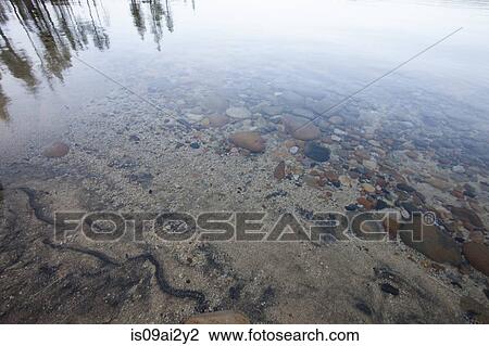 Shallow water, Lake Tahoe, California, USA View Large Photo Image Stock Image - Shallow water, Lake Tahoe, California, USA. Fotosearch