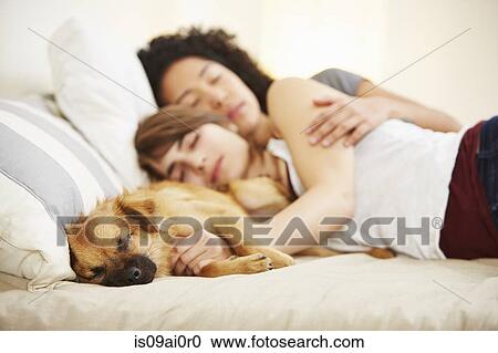 Young female couple and pet dog sleeping on bed View Large Photo Image Stock Image - Young female couple and pet dog sleeping on bed. Fotosearch