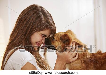 Young woman having face licked by pet dog View Large Photo Image Stock Photography - Young woman having face licked by pet dog. Fotosearch