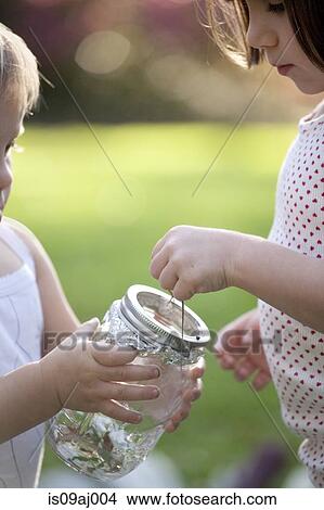 Picture - Girl and toddler sister putting green anole lizard in jar. Fotosearch