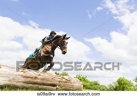 Stock Photo - Horse rider jumping on horse. Fotosearch