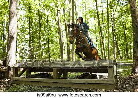 Horse rider jumping on horse View Large Photo Image Stock Photograph - Horse rider jumping on horse. Fotosearch
