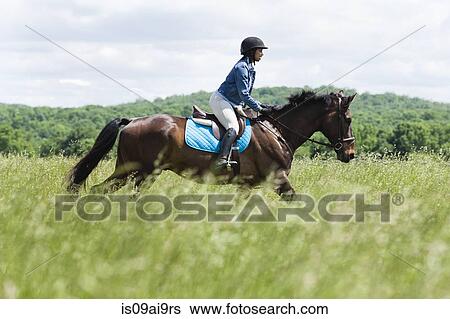Stock Photograph - Horse rider on horse. Fotosearch