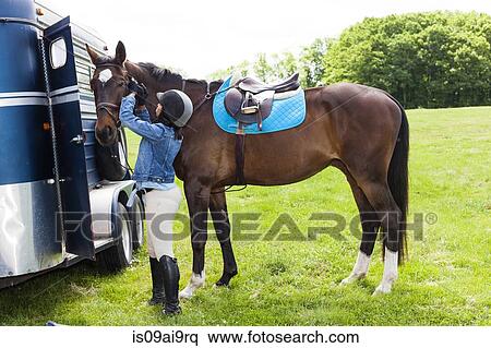 Stock Photography - Horse rider putting on horse's bridle. Fotosearch