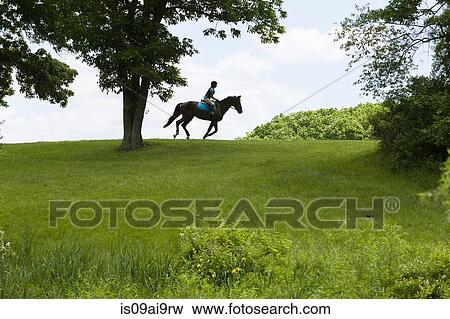 Stock Photo - Horse rider riding through field landscape. Fotosearch