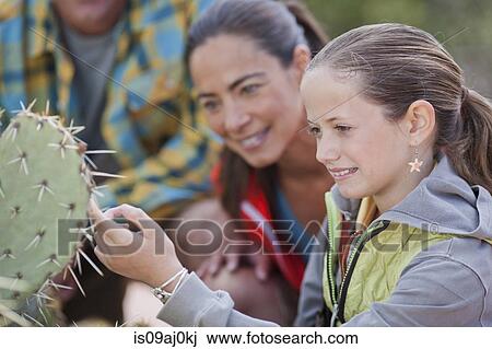 Mature couple and daughter looking at cacti whilst hiking, Sedona, Arizona, USA View Large Photo Image Stock Image - Mature couple and daughter looking at cacti whilst hiking, Sedona, Arizona, USA. Fotosearch