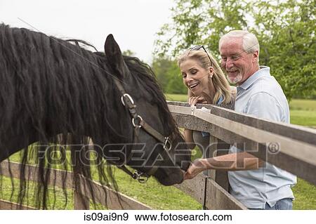 Mature couple hand feeding horse through fence View Large Photo Image Stock Photo - Mature couple hand feeding horse through fence. Fotosearch