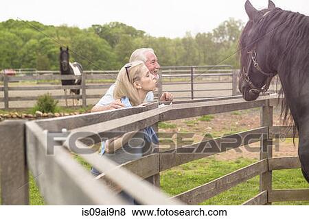 Mature couple watching horse over fence View Large Photo Image Stock Photo - Mature couple watching horse over fence. Fotosearch