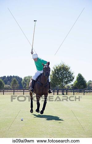 Mature man playing polo View Large Photo Image Picture - Mature man playing polo. Fotosearch