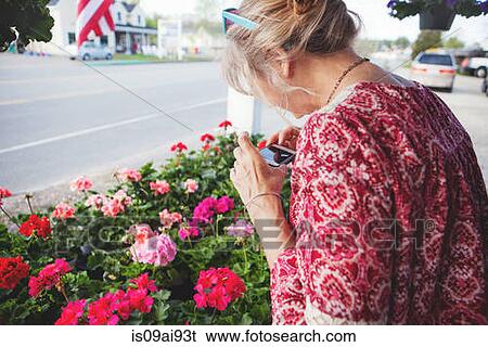 Mature woman photographing flowers View Large Photo Image Stock Photograph - Mature woman photographing flowers. Fotosearch