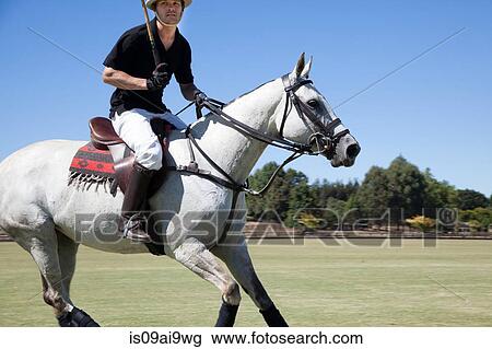 Mid adult man playing polo View Large Photo Image Stock Image - Mid adult man playing polo. Fotosearch