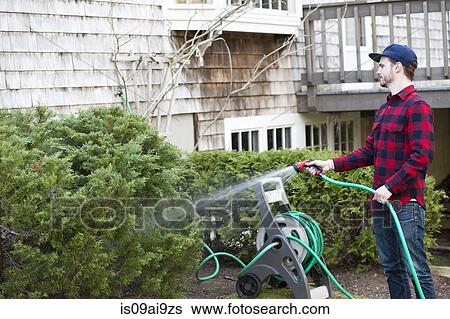 Stock Photograph - Mid adult man watering plants with hosepipe in garden. Fotosearch