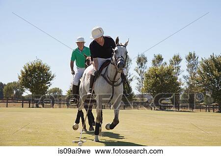 Stock Image - Two adult men playing polo. Fotosearch