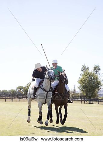 Two adult men playing polo View Large Photo Image Stock Image - Two adult men playing polo. Fotosearch