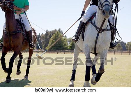Two adult men playing polo View Large Photo Image Stock Image - Two adult men playing polo. Fotosearch