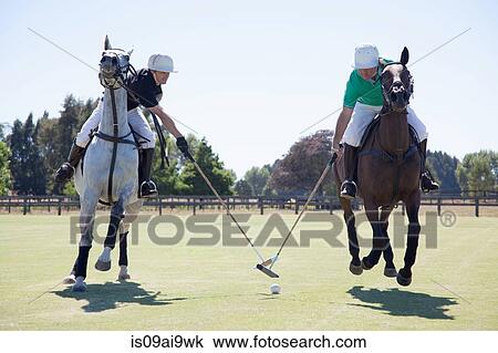 Two adult men playing polo View Large Photo Image Stock Image - Two adult men playing polo. Fotosearch